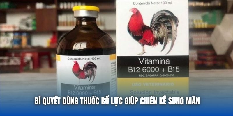 Bí quyết dùng thuốc bổ lực giúp chiến kê sung mãn